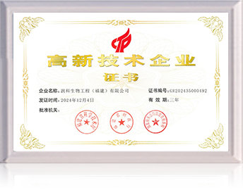 高新技術(shù)企業(yè)證書(shū)